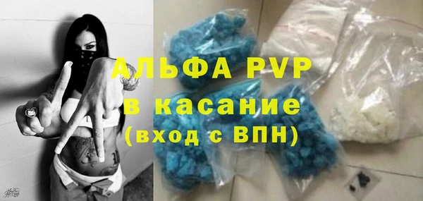 сатива Алзамай