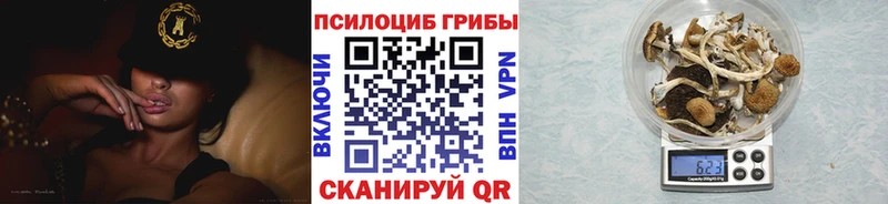 Псилоцибиновые грибы ЛСД  наркошоп  Муром 